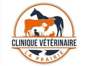 Clinique Vétérinaire De La Prairie (Saint Amand Montrond)