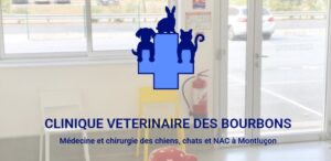 Clinique Vétérinaire des Bourbons (Montluçon)