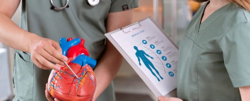 Jeune étudiant en médecine effectuant son stage dans un hôpital. Les 10 meilleurs cardiologues de France