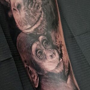 Mysterious Monkey