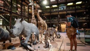 Le Musée National d'Histoire Naturelle