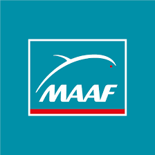 Maaf
