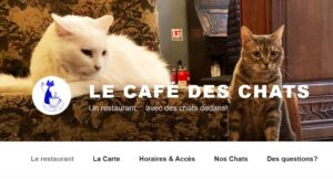 Le Café des Chats (Paris)