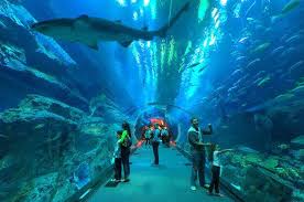 Aquarium de La Rochelle - La Rochelle
