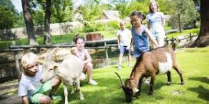 Au Jardin des Animaux