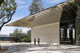 Institut des Neurosciences