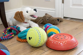 Jouets Canins