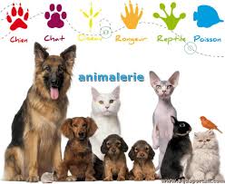 L'Animalerie