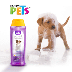 Pets Expert