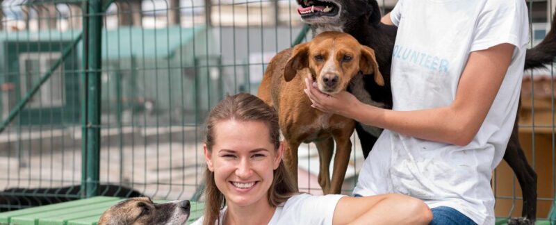 Une femme souriante passe du temps avec de jolis chiens de refuge. meilleures animaleries en France