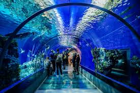 Aquarium du Périgord Noir (Le Bugue)
