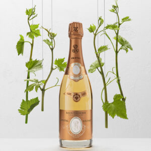 Champagne Louis Roederer (Champagne)