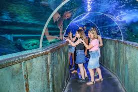 Grand Aquarium de Touraine (Lussault-sur-Loire)