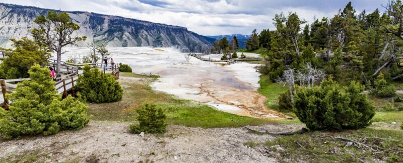 Plan large du parc national de Yellowstone, plein de buissons et d'arbres verts. sites naturels à couper le souffle en France