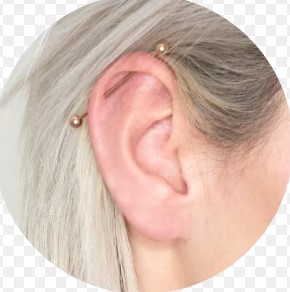 BodyMod (Lille)