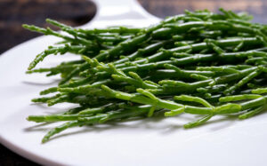 La Salicorne. meilleurs aliments aux bienfaits cachés