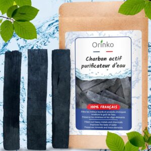 Le Charbon de Bois Actif de Chêne Français