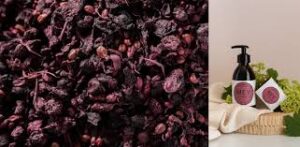 Le Marc de Raisin de Bordeaux