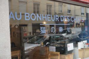 Au Bonheur des Geeks, Lyon