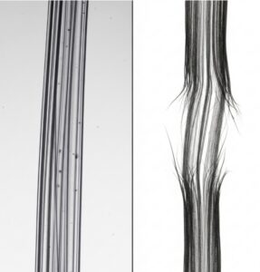 Image comparative de deux mèches de cheveux : une saine et brillante, et une autre avec des pointes fourchues et sèches.