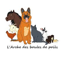 L'Arche des Poils