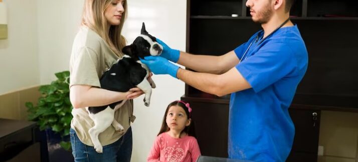 Les 10 meilleurs services de garde d’animaux à domicile en France