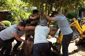 Sauvaje (Entretien d'Espaces Verts)