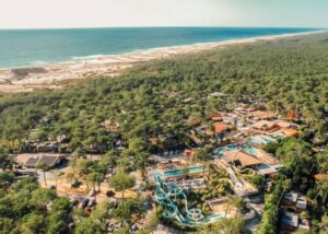 Camping Les Grands Pins - Nouvelle-Aquitaine