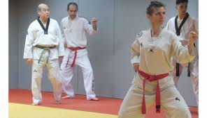 Dojang Maître Lee (Lyon)
