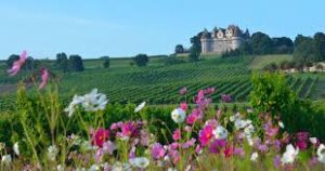L'Exploration des Vignobles sur la Garonne et la Dordogne