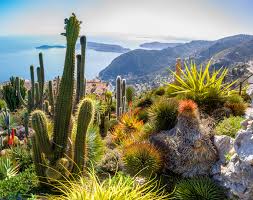 Le Jardin Exotique d'Èze - Provence-Alpes-Côte d'Azur