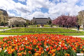 Le Jardin des Plantes - Paris