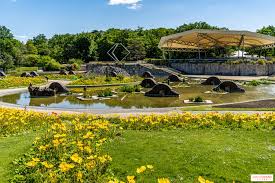 Le Parc Floral de Paris - Île-de-France