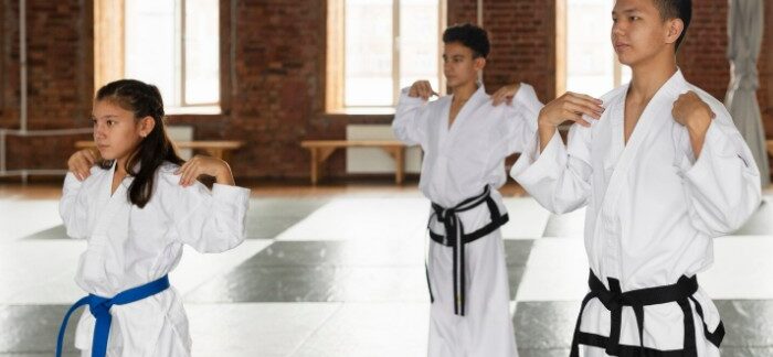Les 10 meilleures écoles de taekwondo en France