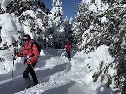 Randonner en Raquettes dans les Pyrénées