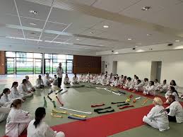 Taekwondo Art & Culture (Rennes)