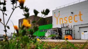 Ynsect
