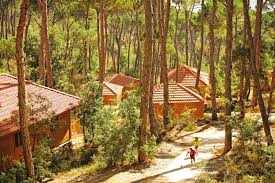La Maison de la Forêt (Landes)