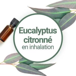 Compagnie des Sens (L'inhalation d'eucalyptus)