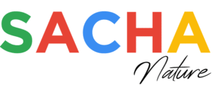 Sacha Bodyweight