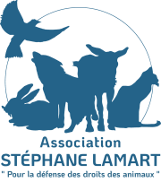 Association Stéphane Lamart