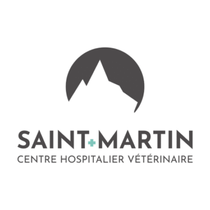 CHV Saint-Martin (Lille)