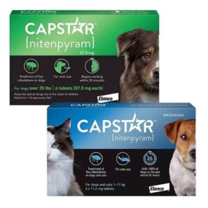 Capstar