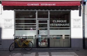Clinique Vétérinaire des Épinières (Grenoble)