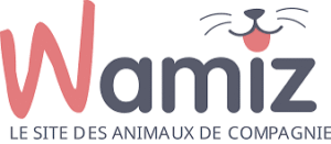 Wamiz Adoption