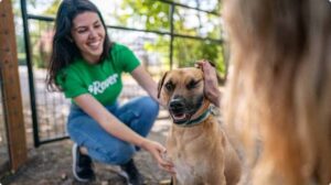 propriétaires d'animaux